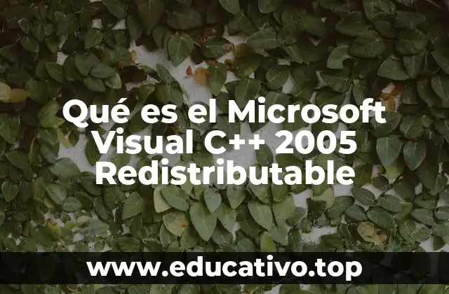Qué es el Microsoft Visual C++ 2005 Redistributable
