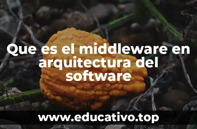 Que es el middleware en arquitectura del software