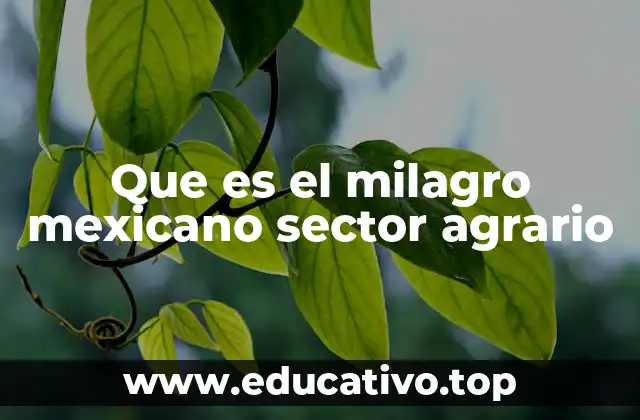 Que es el milagro mexicano sector agrario