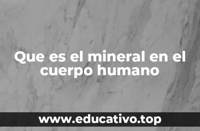 El papel de los minerales en la estructura y funcionamiento del organismo