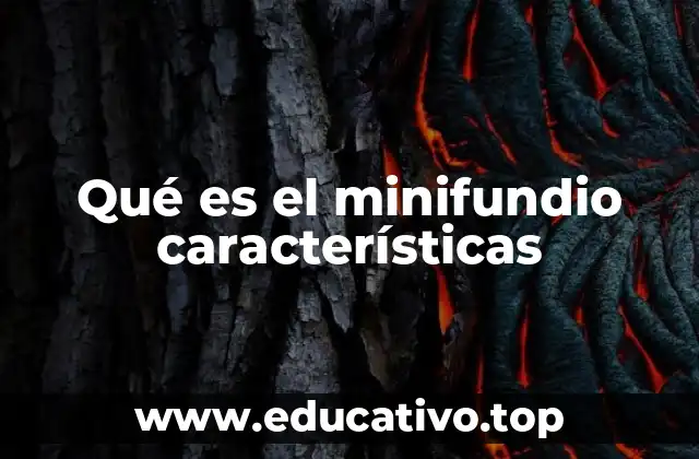 Qué es el minifundio características