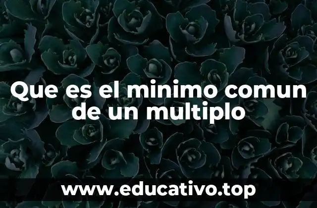 Que es el minimo comun de un multiplo