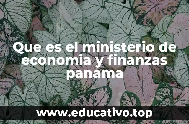 Que es el ministerio de economia y finanzas panama