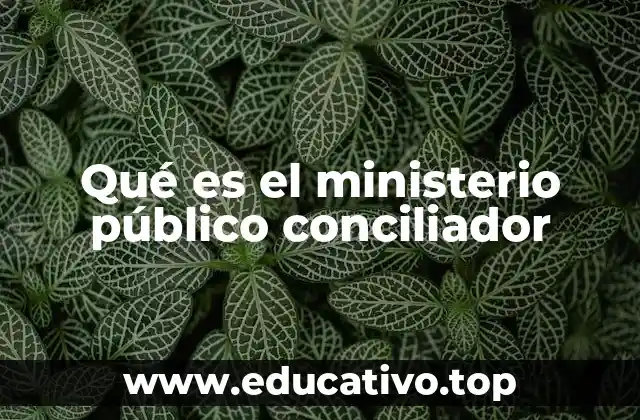 Qué es el ministerio público conciliador