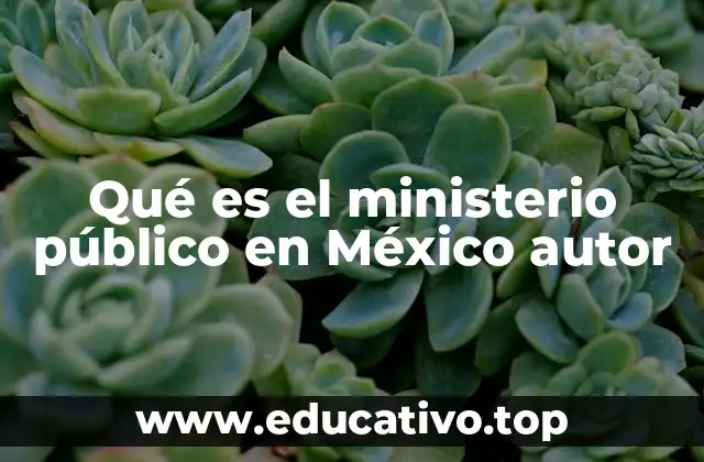 Qué es el ministerio público en México autor