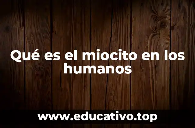 Qué es el miocito en los humanos