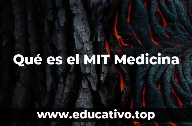 Qué es el MIT Medicina