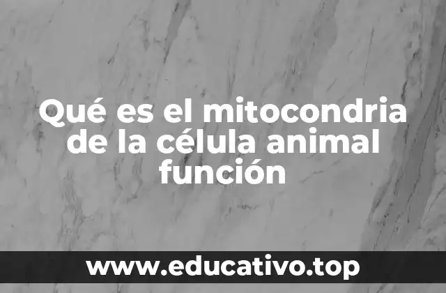 Qué es el mitocondria de la célula animal función