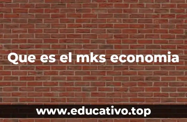 Que es el mks economia