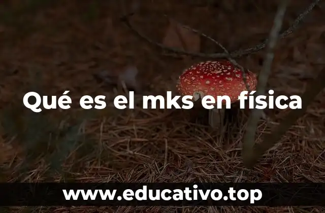 Qué es el mks en física