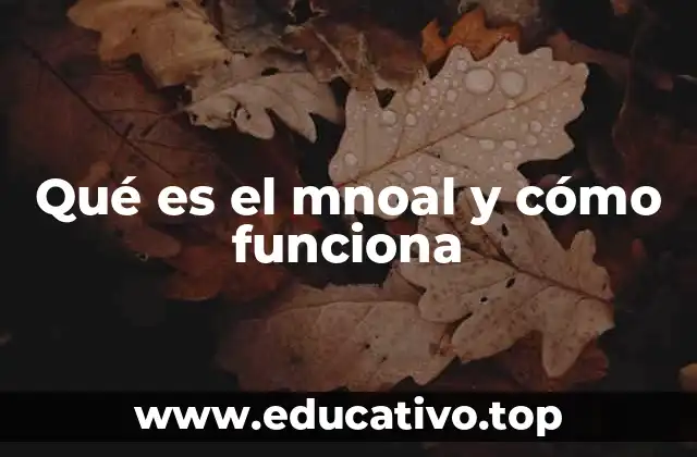 Qué es el mnoal y cómo funciona