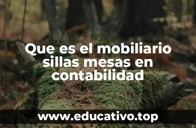 La importancia del registro contable de mobiliario y sillas
