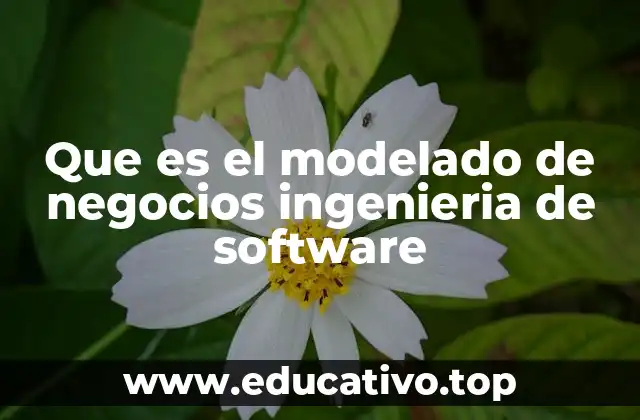Que es el modelado de negocios ingenieria de software