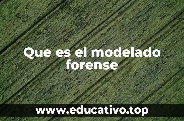 Que es el modelado forense