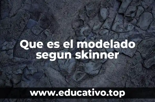 Que es el modelado segun skinner