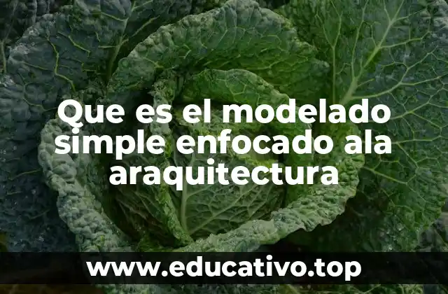 Que es el modelado simple enfocado ala araquitectura