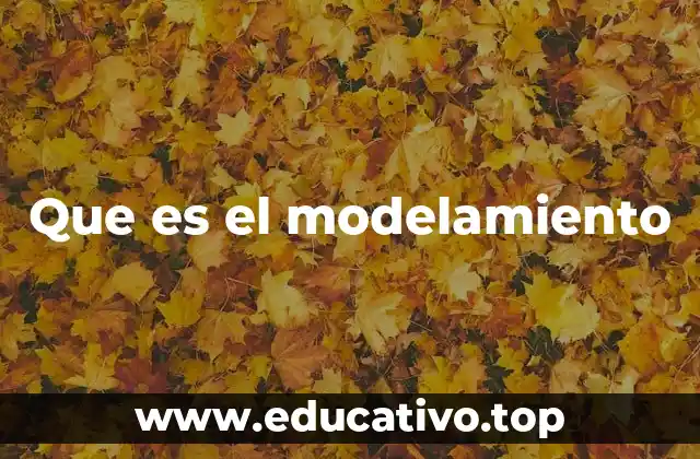 La importancia del modelamiento en el análisis de sistemas complejos