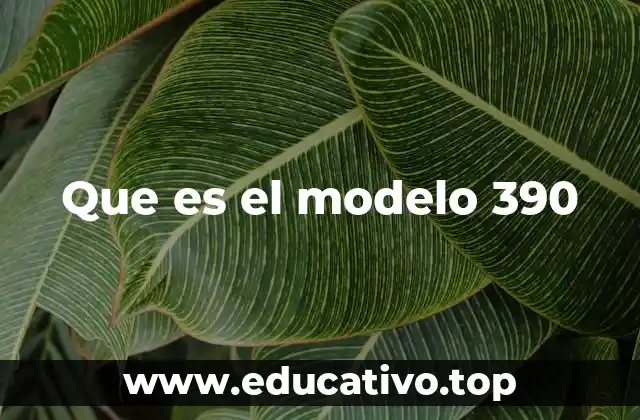 Que es el modelo 390