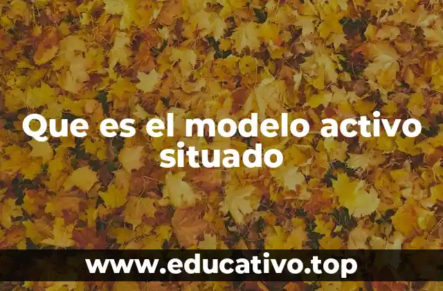 Que es el modelo activo situado