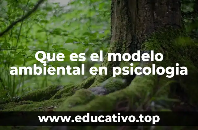 Que es el modelo ambiental en psicologia
