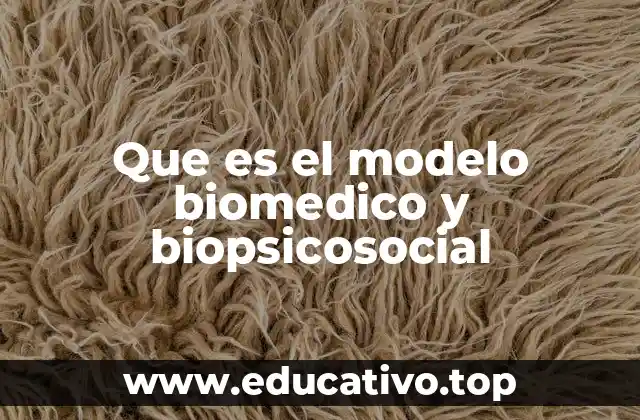 Que es el modelo biomedico y biopsicosocial