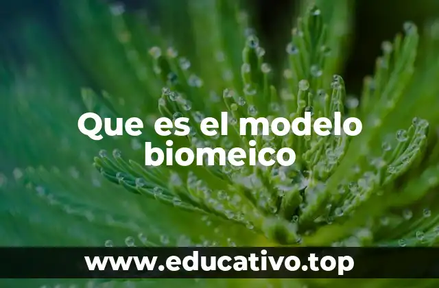 Que es el modelo biomeico