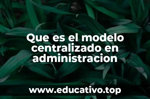 Que es el modelo centralizado en administracion