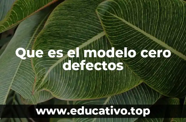 Que es el modelo cero defectos