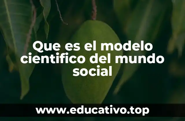 Cómo las ciencias sociales aplican métodos científicos