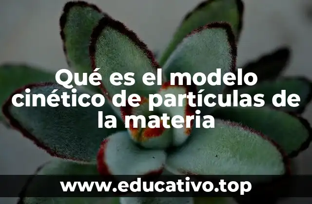Qué es el modelo cinético de partículas de la materia