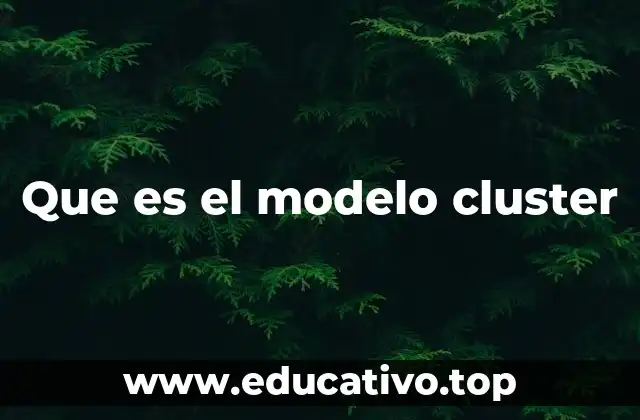 Que es el modelo cluster