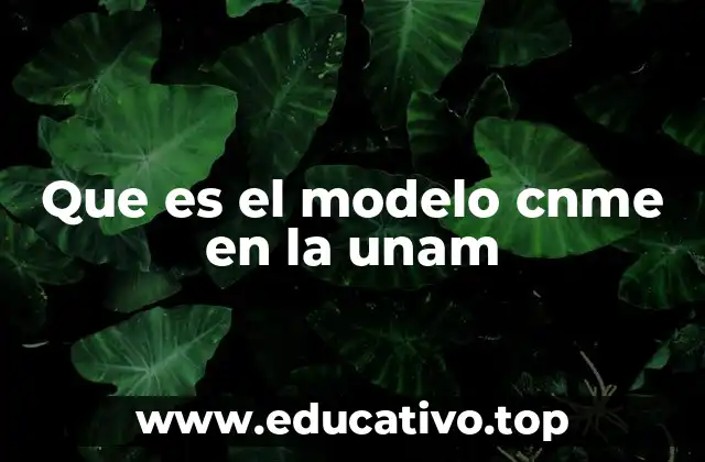 Que es el modelo cnme en la unam