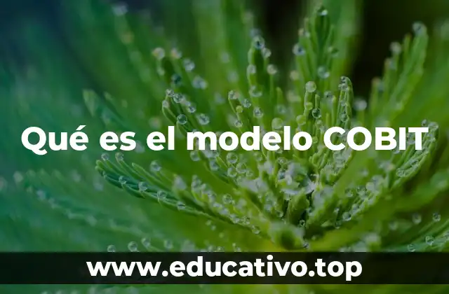 Qué es el modelo COBIT
