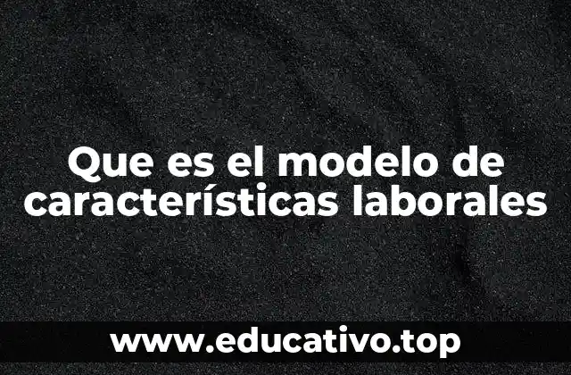 Que es el modelo de características laborales