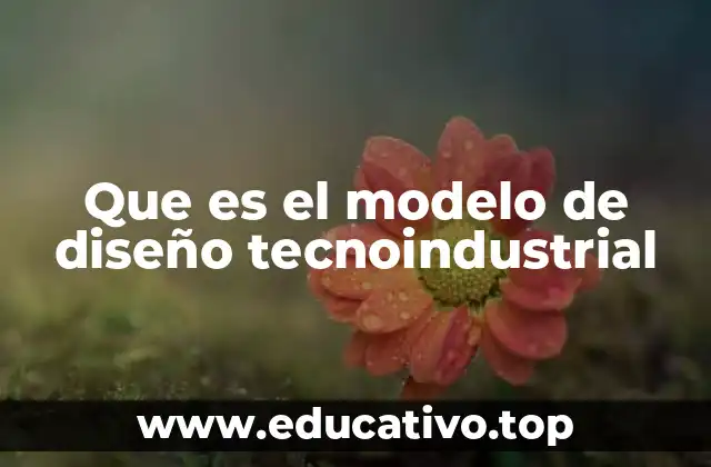 Que es el modelo de diseño tecnoindustrial