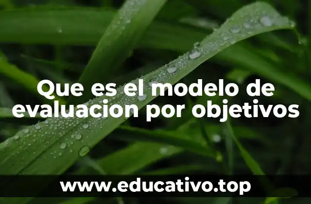Que es el modelo de evaluacion por objetivos