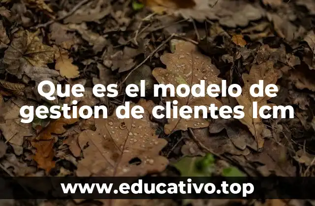 Que es el modelo de gestion de clientes lcm