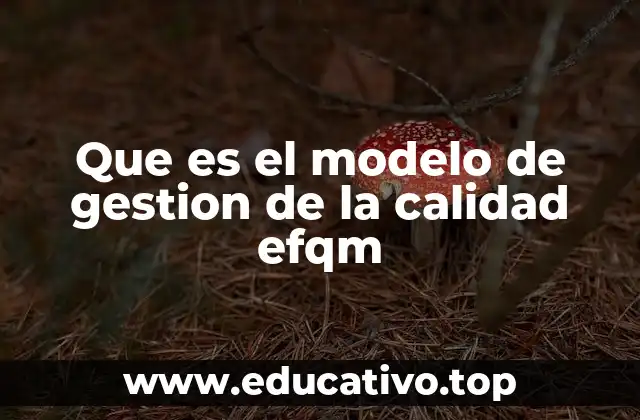 Cómo funciona el modelo EFQM en la práctica