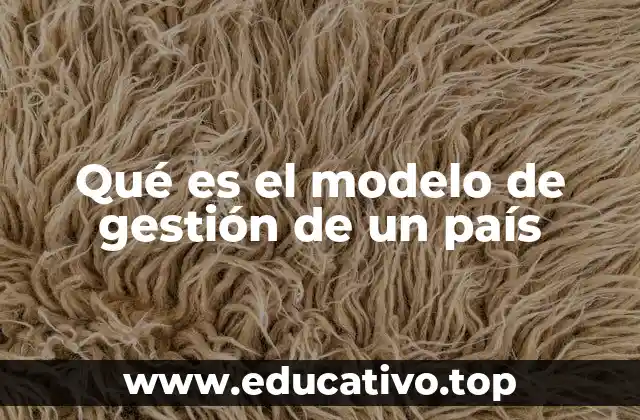 Qué es el modelo de gestión de un país
