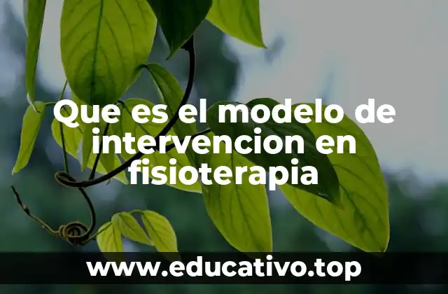 Que es el modelo de intervencion en fisioterapia