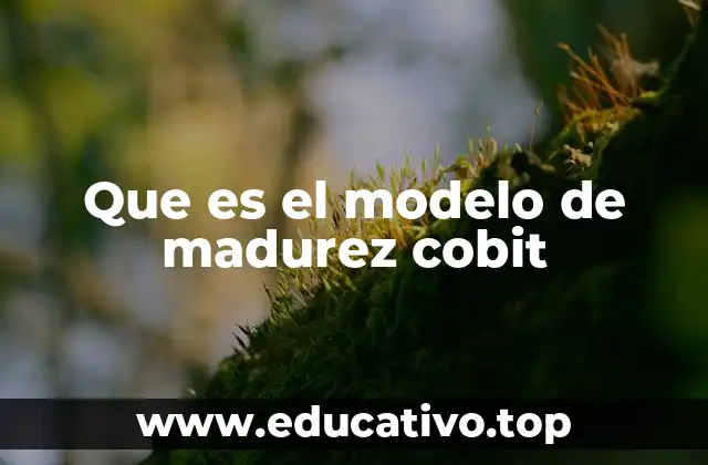 Que es el modelo de madurez cobit