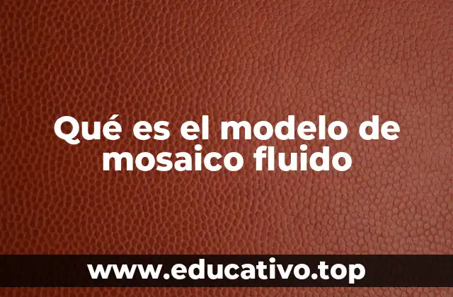 Qué es el modelo de mosaico fluido