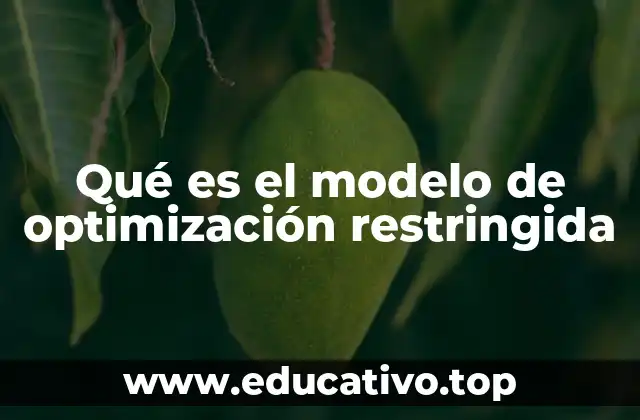 Qué es el modelo de optimización restringida