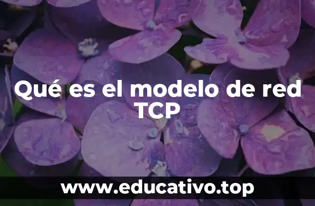 Qué es el modelo de red TCP