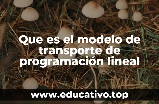 Que es el modelo de transporte de programación lineal