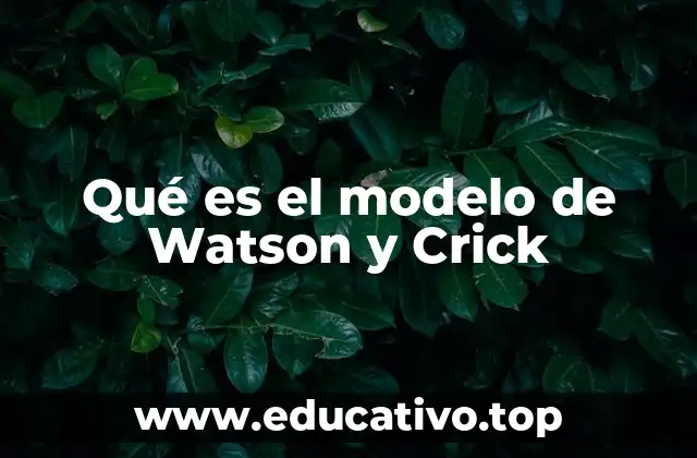 Qué es el modelo de Watson y Crick