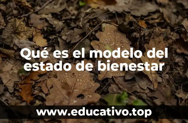 Qué es el modelo del estado de bienestar