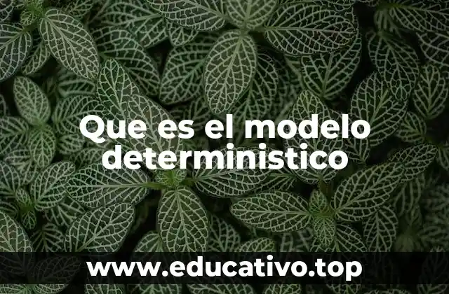 Que es el modelo deterministico