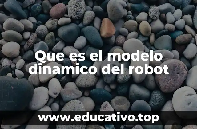 Que es el modelo dinamico del robot