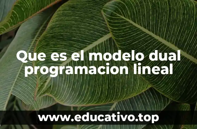 Que es el modelo dual programacion lineal